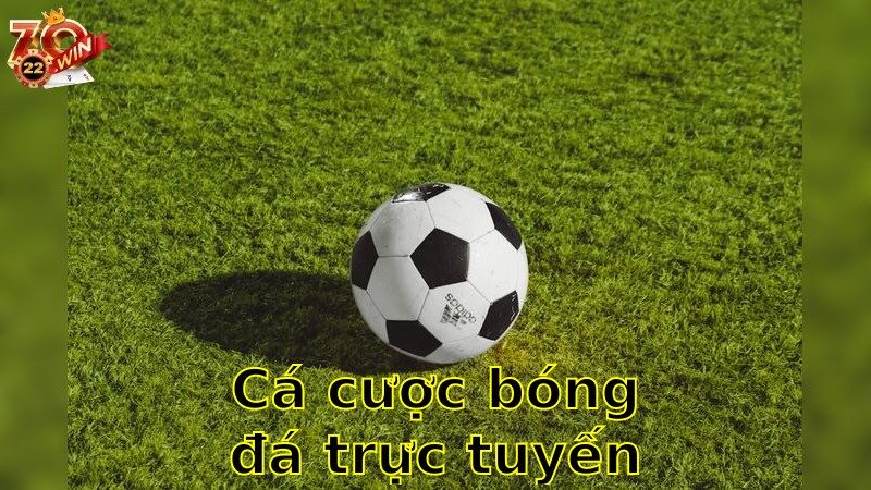 Cá cược bóng đá trực tuyến – Khám Phá Cơ Hội 2025